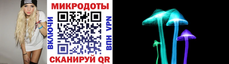 купить   Дивногорск  Псилоцибиновые грибы Cubensis 