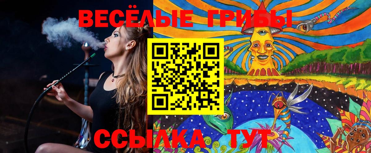 Галлюциногенные грибы Psilocybine cubensis Дивногорск
