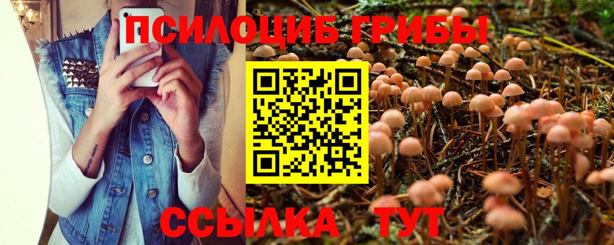 Галлюциногенные грибы мицелий  Вход с VPN  Дивногорск 